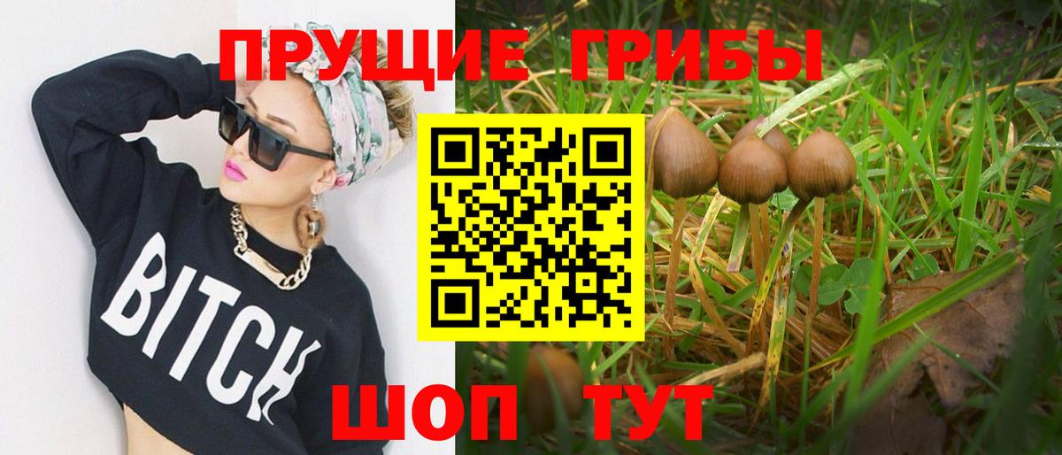 Псилоцибиновые грибы ЛСД  цена наркотик  Сосновоборск  Вход с VPN 